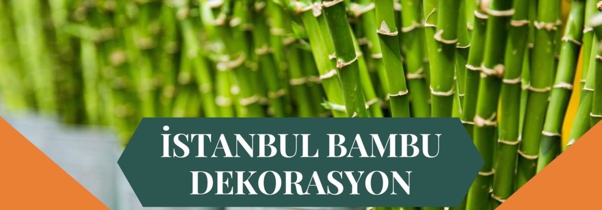 İSTANBUL BAMBU DEKORASYON, BAMBU DEKORASYON İSTANBUL, YAPAY BAMBU DEKORASYON İSTANBUL, İSTANBUL HASIR BAMBU DEKORASYON, HASIR BAMBU DEKORASYON İSTANBUL, İSTANBUL YAPAY BAMBU DEKORASYON, İSTANBUL BAMBU EV DEKORASYON, BAMBU EV DEKORASYON İSTANBUL