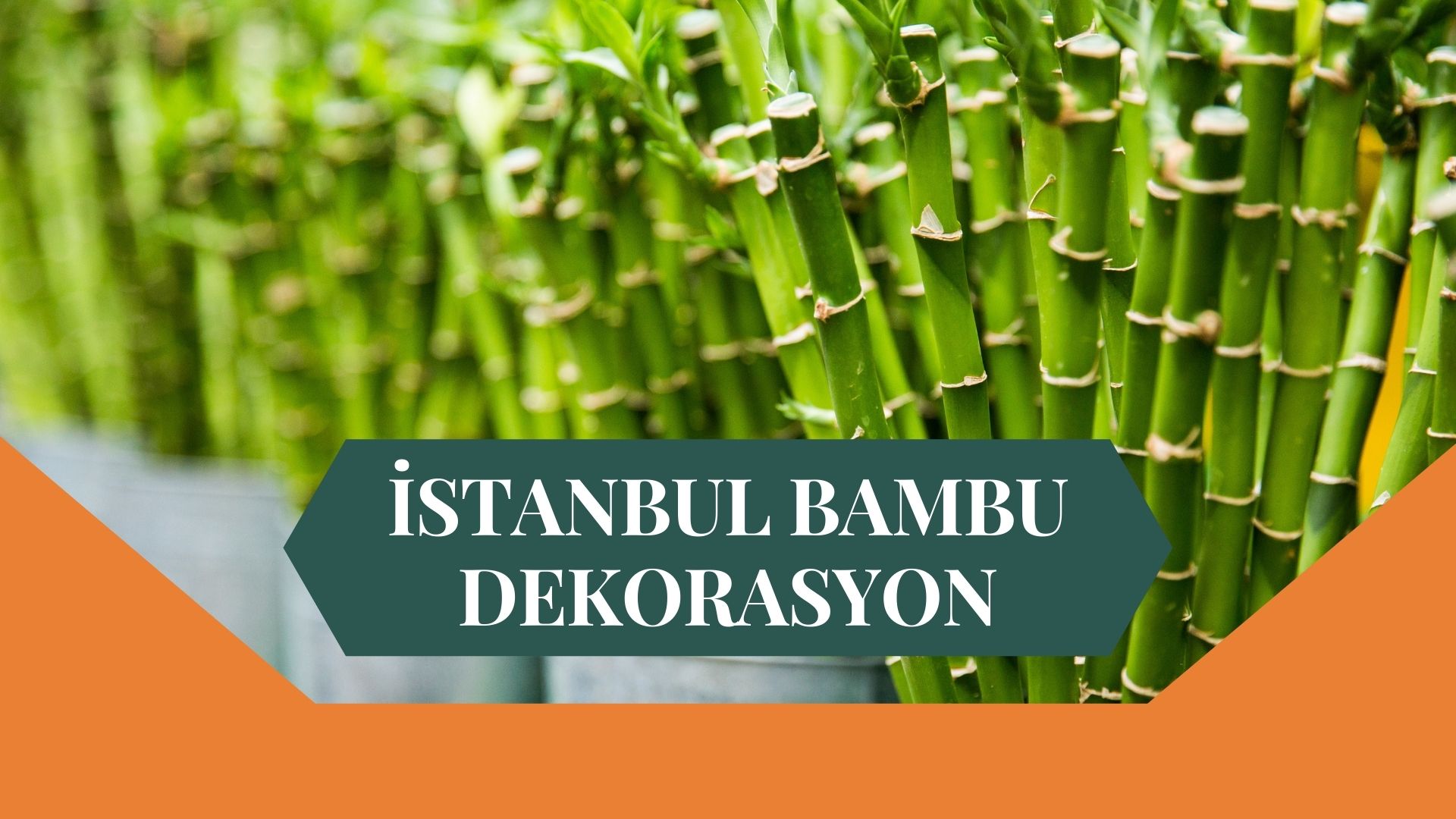 İSTANBUL BAMBU DEKORASYON, BAMBU DEKORASYON İSTANBUL, YAPAY BAMBU DEKORASYON İSTANBUL, İSTANBUL HASIR BAMBU DEKORASYON, HASIR BAMBU DEKORASYON İSTANBUL, İSTANBUL YAPAY BAMBU DEKORASYON, İSTANBUL BAMBU EV DEKORASYON, BAMBU EV DEKORASYON İSTANBUL