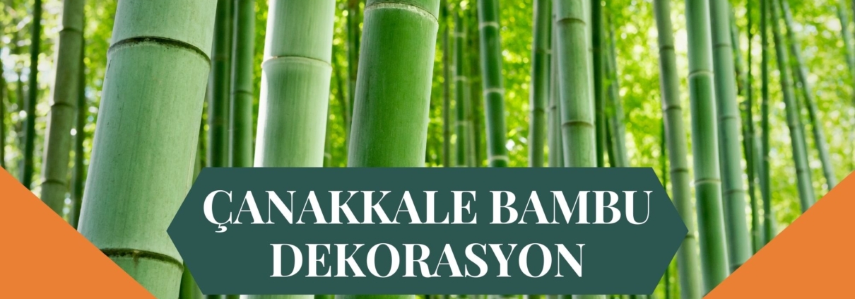 ÇANAKKALE BAMBU DEKORASYON, BAMBU DEKORASYON ÇANAKKALE, YAPAY BAMBU DEKORASYON ÇANAKKALE, ÇANAKKALE HASIR BAMBU DEKORASYON, HASIR BAMBU DEKORASYON ÇANAKKALE, ÇANAKKALE YAPAY BAMBU DEKORASYON, ÇANAKKALE BAMBU EV DEKORASYON, BAMBU EV DEKORASYON ÇANAKKALE