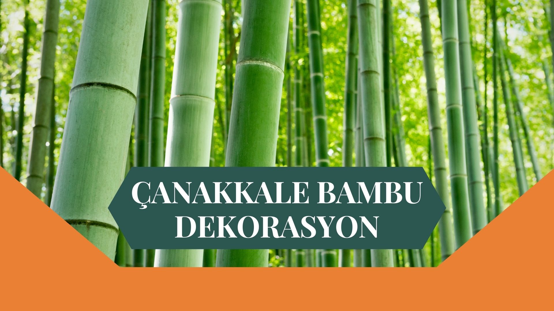 ÇANAKKALE BAMBU DEKORASYON, BAMBU DEKORASYON ÇANAKKALE, YAPAY BAMBU DEKORASYON ÇANAKKALE, ÇANAKKALE HASIR BAMBU DEKORASYON, HASIR BAMBU DEKORASYON ÇANAKKALE, ÇANAKKALE YAPAY BAMBU DEKORASYON, ÇANAKKALE BAMBU EV DEKORASYON, BAMBU EV DEKORASYON ÇANAKKALE