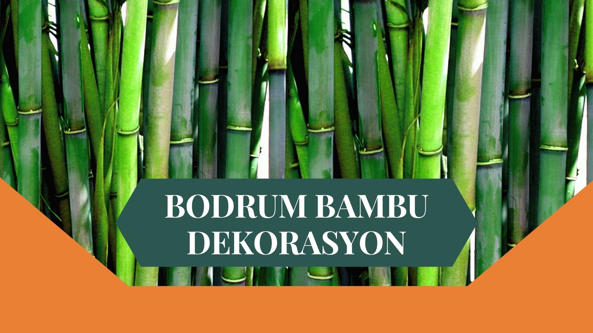 BODRUM BAMBU DEKORASYON, BAMBU DEKORASYON BODRUM, YAPAY BAMBU DEKORASYON BODRUM, BODRUM HASIR BAMBU DEKORASYON, HASIR BAMBU DEKORASYON BODRUM, BODRUM YAPAY BAMBU DEKORASYON, BODRUM BAMBU EV DEKORASYON, BAMBU EV DEKORASYON BODRUM