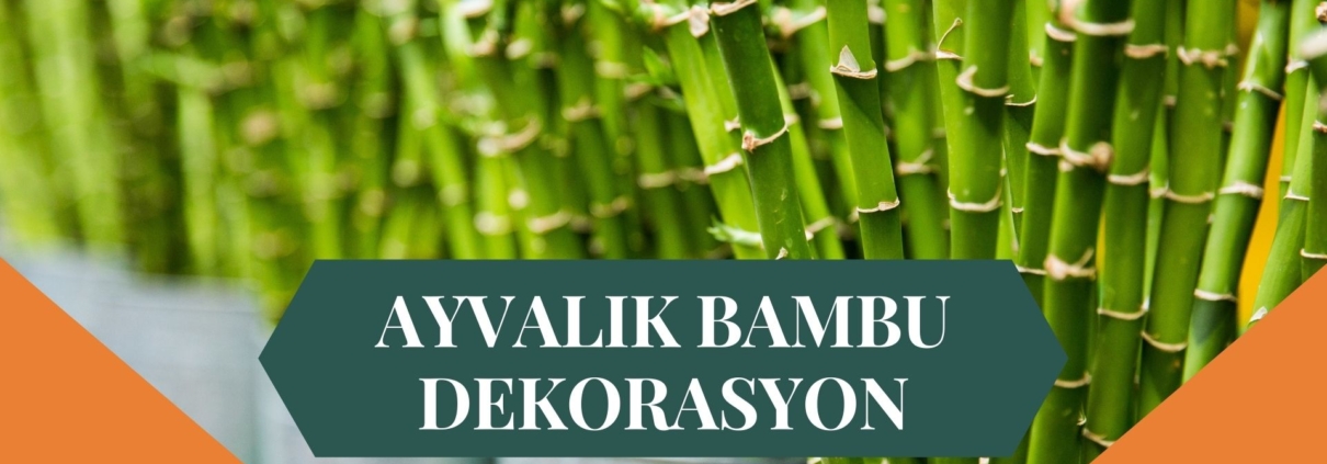 AYVALIK BAMBU DEKORASYON, BAMBU DEKORASYON AYVALIK, YAPAY BAMBU DEKORASYON AYVALIK, AYVALIK HASIR BAMBU DEKORASYON, HASIR BAMBU DEKORASYON AYVALIK, AYVALIK YAPAY BAMBU DEKORASYON, AYVALIK BAMBU EV DEKORASYON, BAMBU EV DEKORASYON AYVALIK