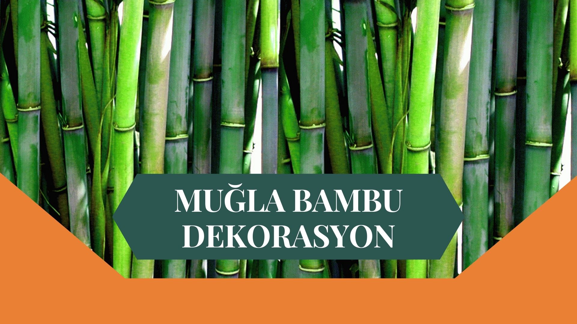 MUĞLA BAMBU DEKORASYON, BAMBU DEKORASYON MUĞLA, YAPAY BAMBU DEKORASYON MUĞLA, MUĞLA HASIR BAMBU DEKORASYON, HASIR BAMBU DEKORASYON MUĞLA, MUĞLA YAPAY BAMBU DEKORASYON, MUĞLA BAMBU EV DEKORASYON, BAMBU EV DEKORASYON MUĞLA