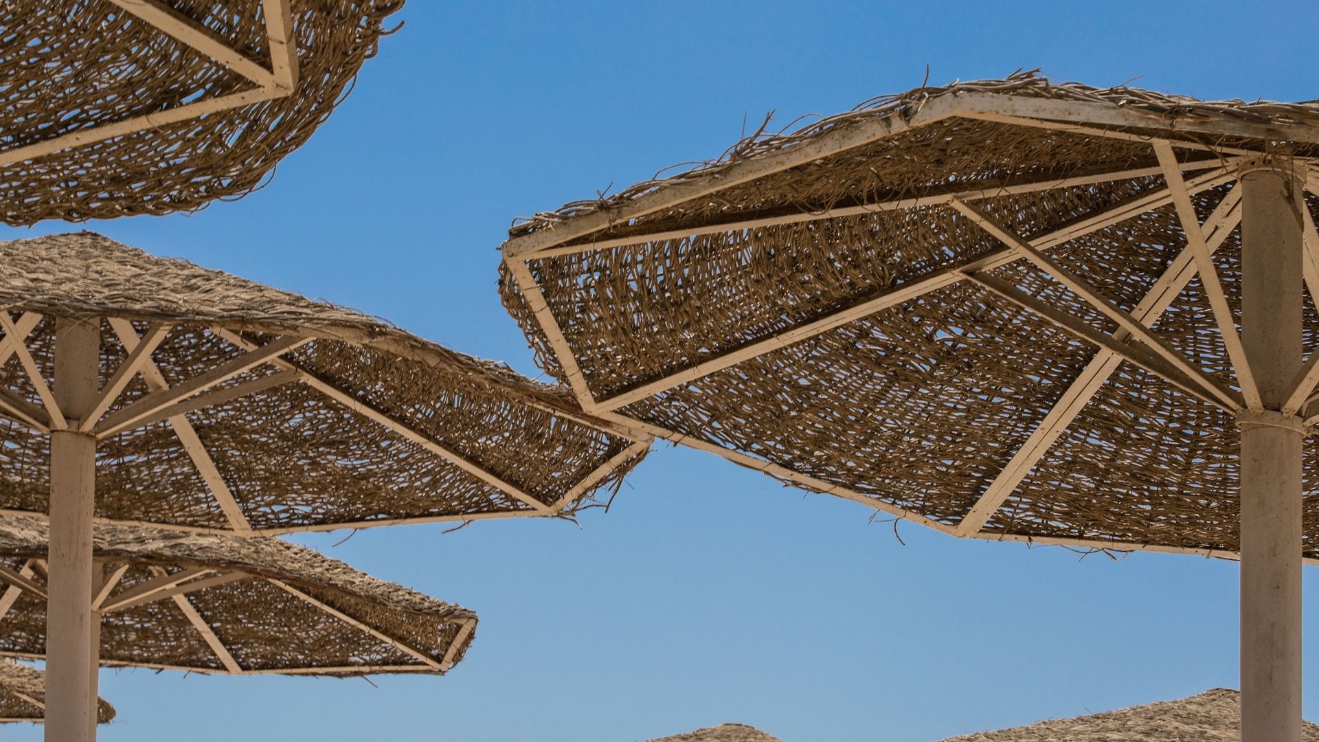 AYVALIK BAMBU DEKORASYON, BAMBU DEKORASYON AYVALIK, YAPAY BAMBU DEKORASYON AYVALIK, AYVALIK HASIR BAMBU DEKORASYON, HASIR BAMBU DEKORASYON AYVALIK, AYVALIK YAPAY BAMBU DEKORASYON, AYVALIK BAMBU EV DEKORASYON, BAMBU EV DEKORASYON AYVALIK
